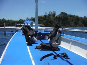 Verde Divers