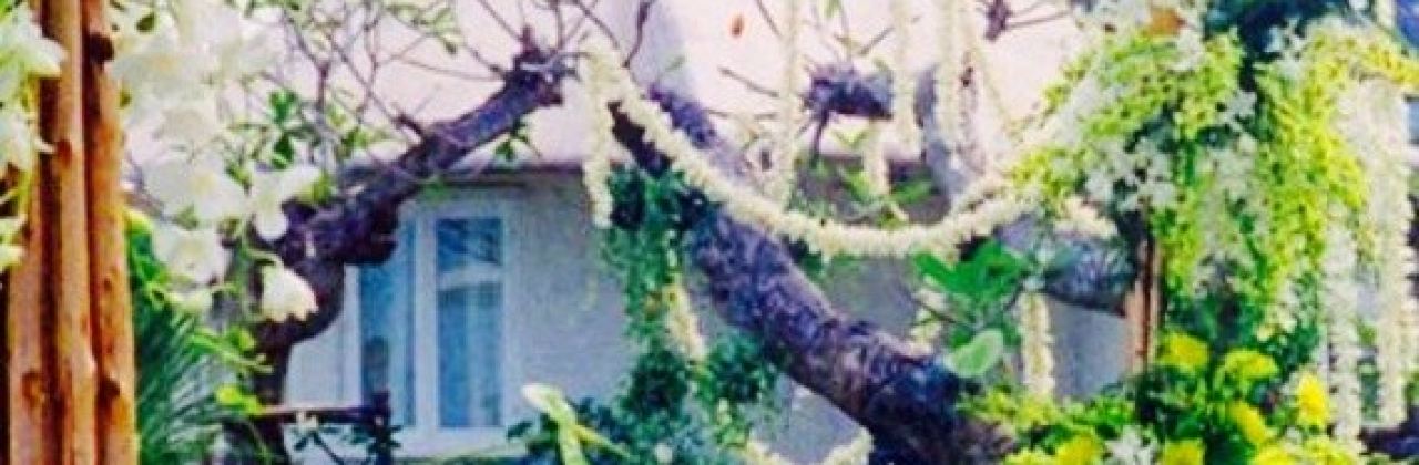 Coffee Bonita Hua Hin