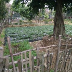 横沥牛庄(总店) User Photo