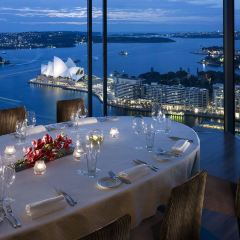 O Bar and Dining User Photo