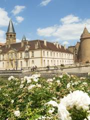 Basilica of Paray-le-Monial