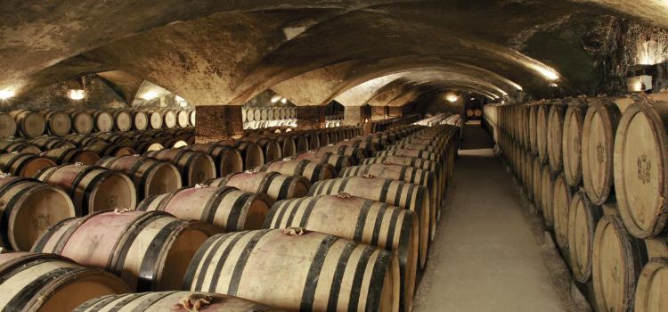 Chateau de Meursault