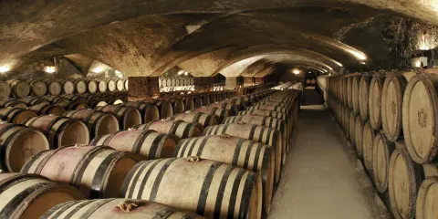 Chateau de Meursault