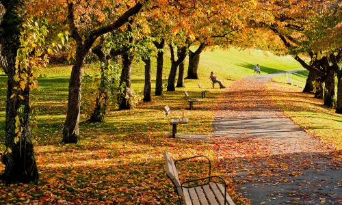 Burnaby Mountain Park