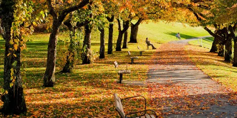 本那比山公園