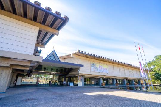 日本奈良奈良國立博物館+奈良公園+春日大社+東大寺+二月堂一日遊