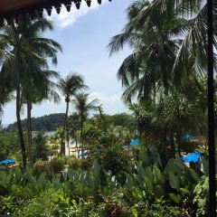 Beach Brasserie張用戶圖片