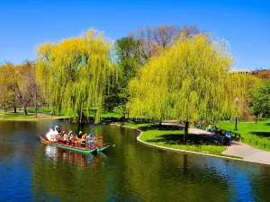 Boston Public Garden