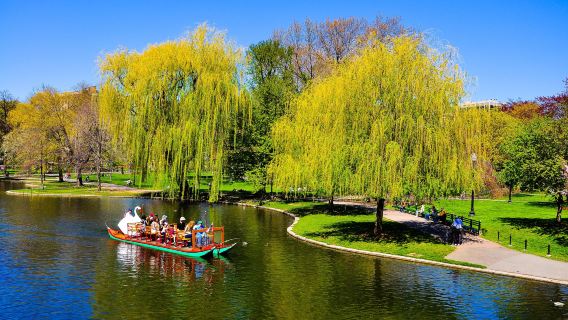 Boston Freedom Trail History and Food Tour