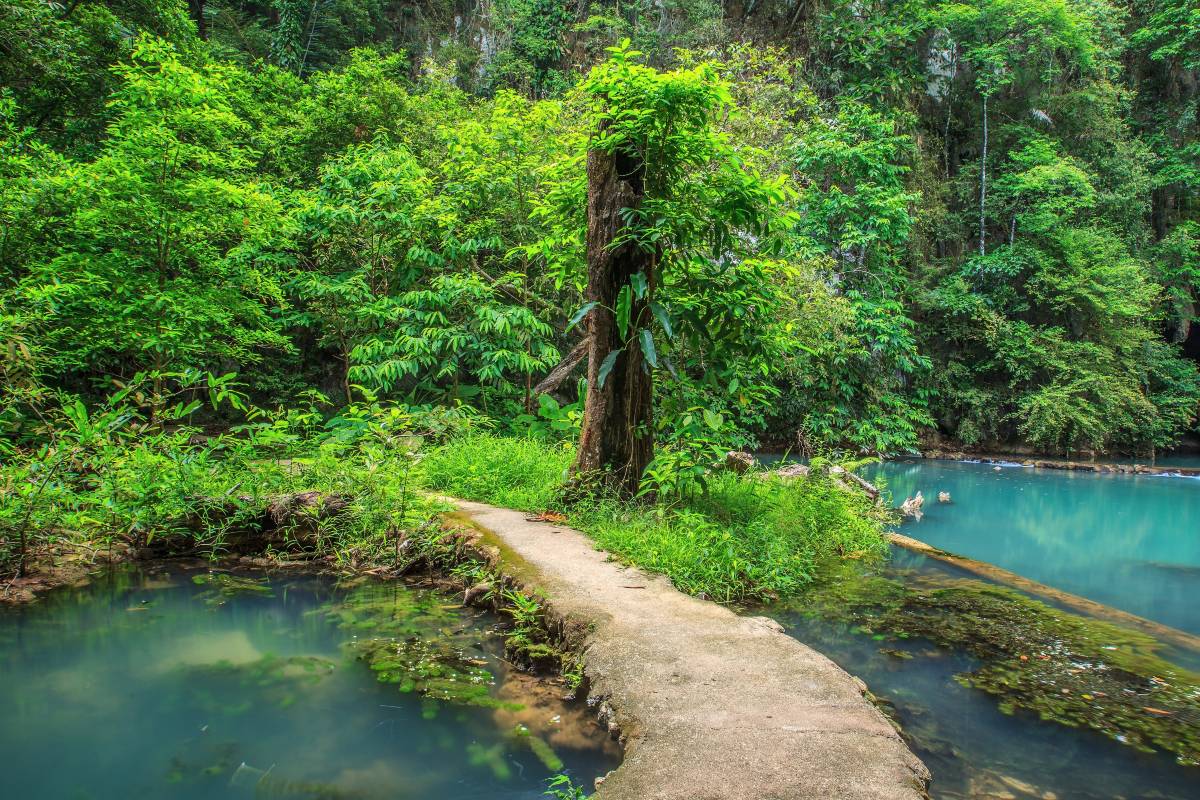 อุทยานแห่งชาติธารโบกขรณี