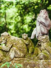Forêt des singes d'Ubud