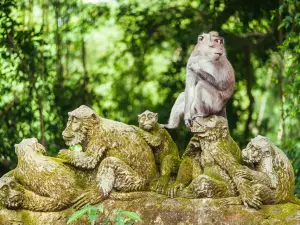 Sacred Monkey Forest Sanctuary