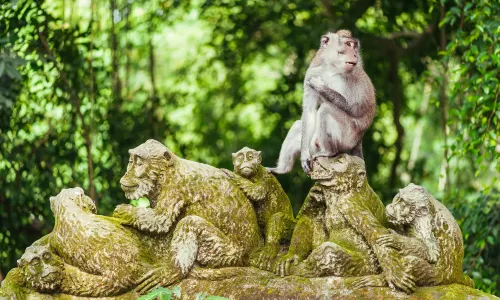 Sacred Monkey Forest Sanctuary