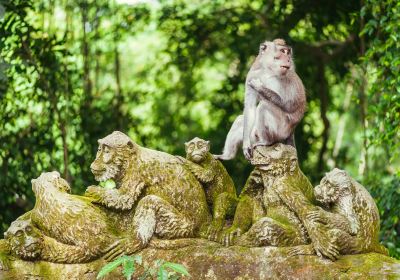 Forêt des singes d'Ubud