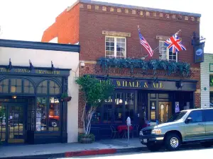 The Whale & Ale
