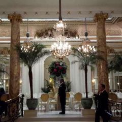 The Palm Court User Photo