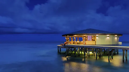 Viu Bar , Centara Ras Fushi Resort & Spa Maldives