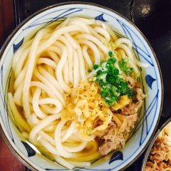 Marukame Udon User Photo