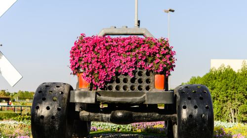 Dubai Miracle Garden