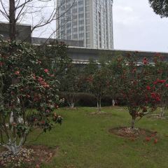 Wang Hu Ge @ Kempinski Hotel Suzhou 여행 사진