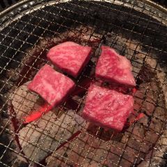 Ryukyu No Ushi User Photo