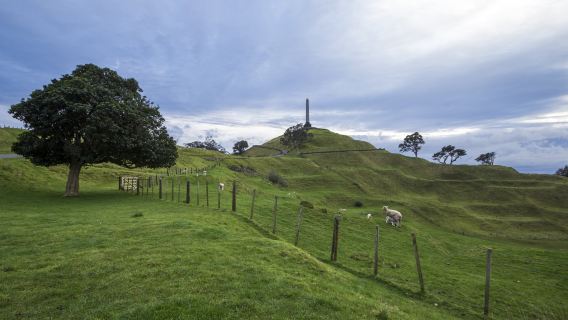 紐西蘭奧克蘭一樹山+奧克蘭中央公園+教會灣+高架橋港一日遊