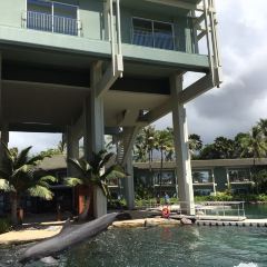 The Dolphin Poipu User Photo