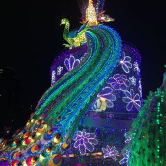 常州环球恐龙城维景国际大酒店·自助餐厅(恐龙园店) 여행 사진