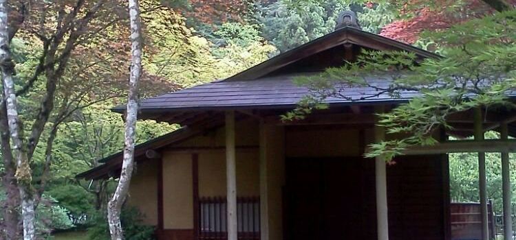 Fujiyama Japanese Steak House