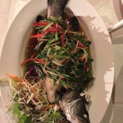Pad Thai Restaurant, Phi Phi island Thailand User Photo