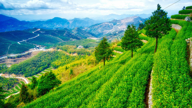 Yangyan Shancha Culture Park