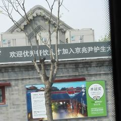 King's Joy User Photo
