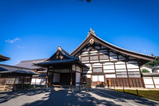 Kyoto, Japan + Kinkakuji Temple + Nijo Castle + Hanamikoji One-day Tour