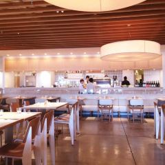 bills Odaiba User Photo