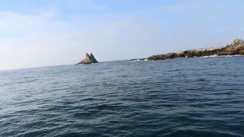 サンフランシスコ ファラロン諸島 評判 案内 トリップドットコム サンフランシスコ ファラロン諸島 評判 案内 トリップドットコム