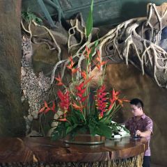 黑森林餐廳張用戶圖片