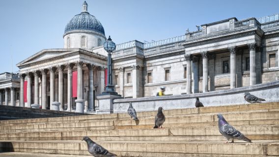 British Museum, National Gallery, Tower Bridge, and Trafalgar Square one-day tour