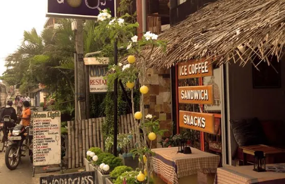 Nordic House Luxury Burgers