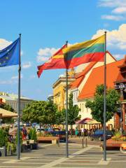 Rathaus Vilnius