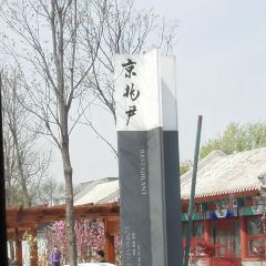 King's Joy User Photo