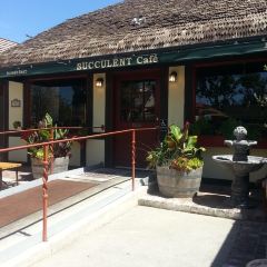 Succulent Cafe User Photo