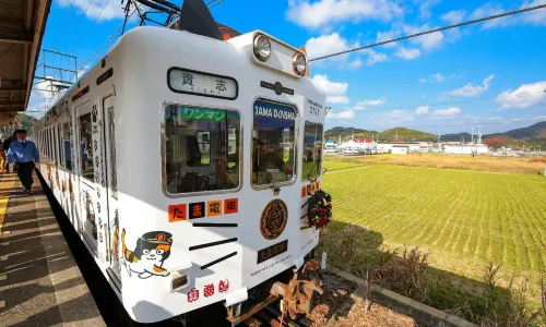 Kishi Station