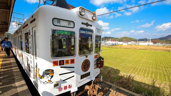 Kinokawa