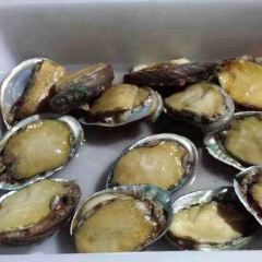 XIAO LAO JU User Photo