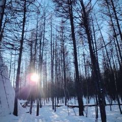 Race Course Mongolia Great Camp User Photo