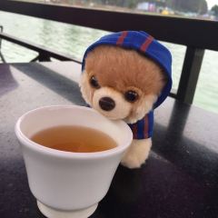 Thanh Thuy Blue Water Restaurant User Photo