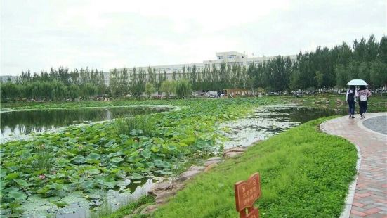 觀瀾湖公園