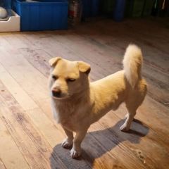 JOIN MAMA User Photo