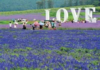 嵖岈山溫泉小鎮薰衣草文化園