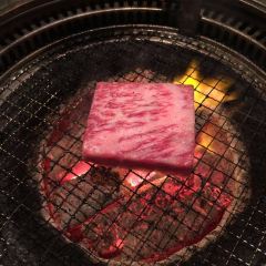 Ryukyu No Ushi User Photo